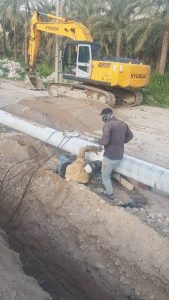 boushehr-to-dalaki-5